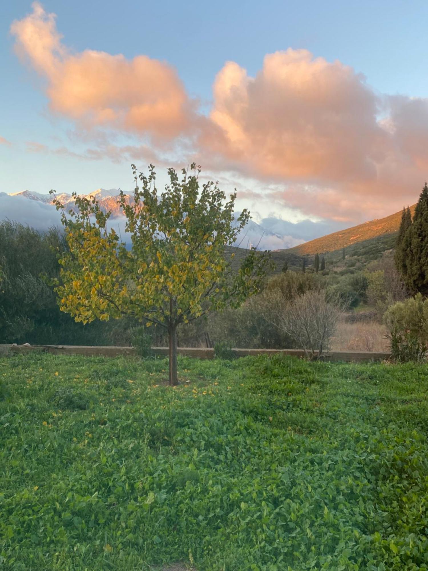 Stellas Near Arachova דירה
